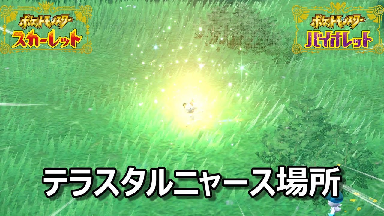 【ポケモンSV】テラスタルニャース場所　野生テラスタル＃１【スカーレット・バイオレット】