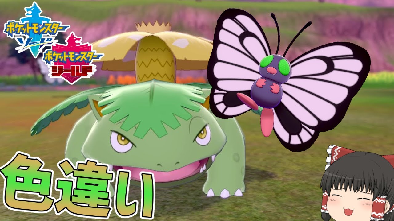 【ポケモン剣盾】美しく咲く黄色い花と美しく舞う蝶！フシギバナ＆バタフリーの色違い！【ゆっくり実況】色違い♯35