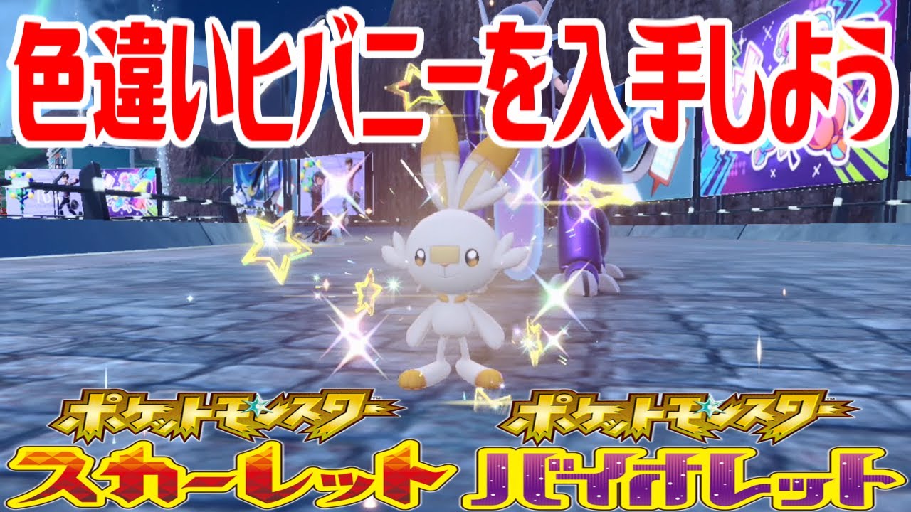 【ポケモンSV】色違いヒバニーを入手しよう タマゴふか(タマゴ孵化)【ポケットモンスター スカーレット・バイオレット】Pocket Monsters