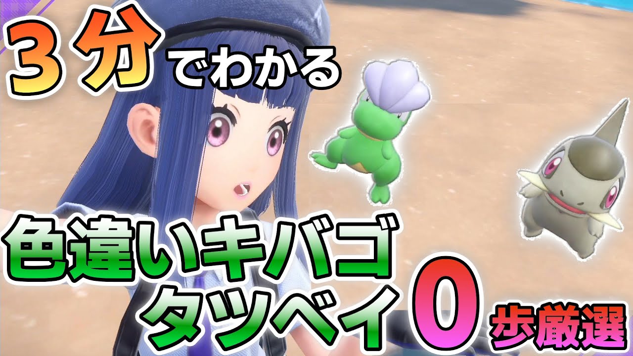 色違いキバゴ（オノノクス）とタツベイ（ボーマンダ）を画面固定で簡単に入手する方法【ポケモンSV】