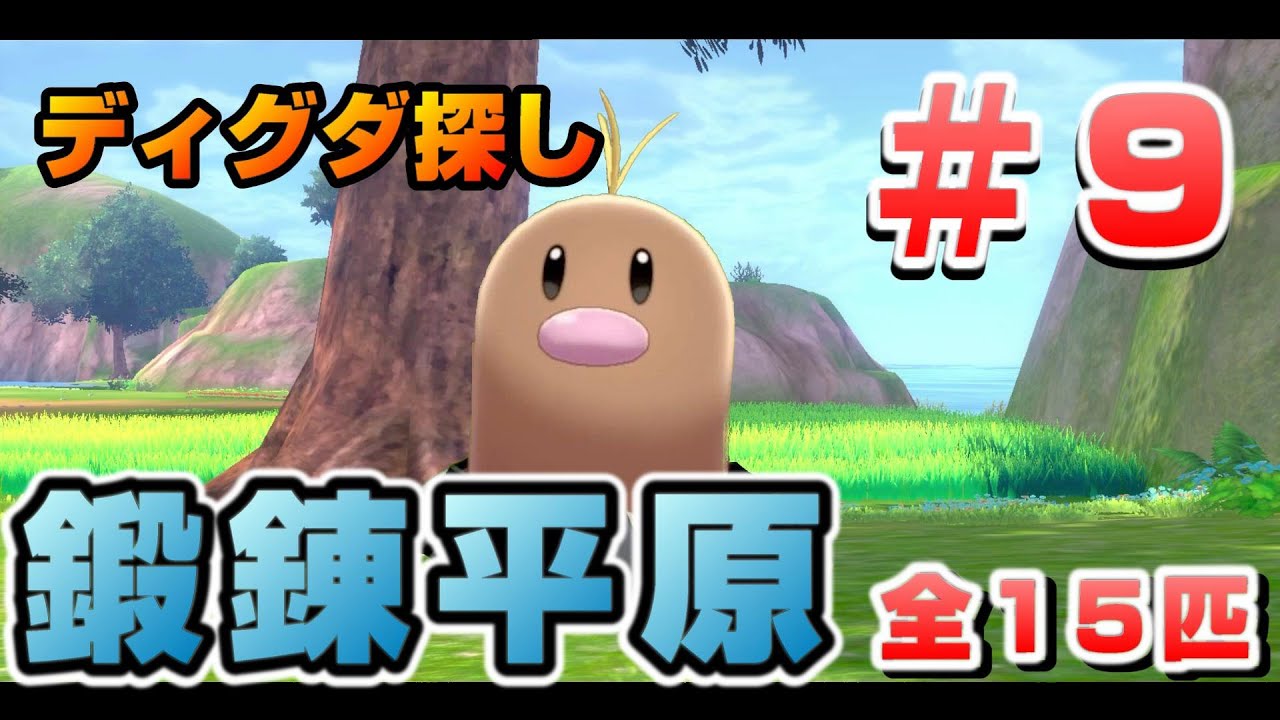 鎧の孤島でディグダ集め！［#09 鍛錬平原］【ポケモン剣盾/ソードシールド】