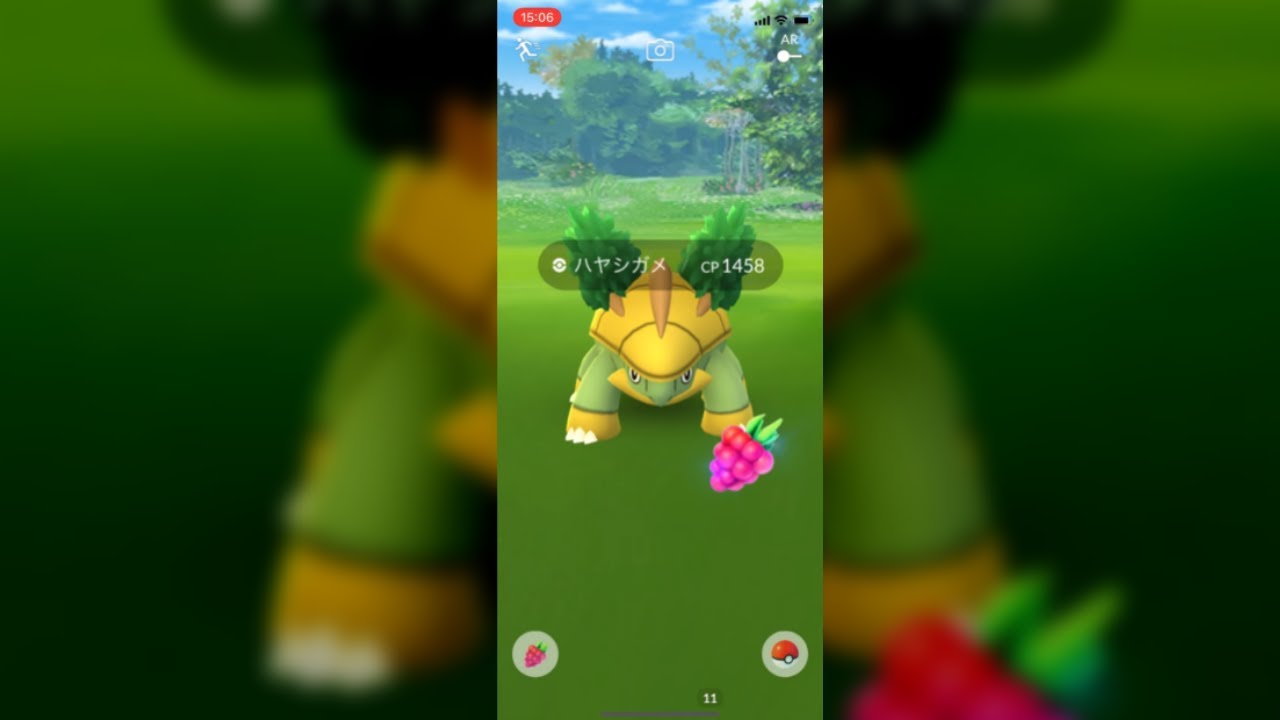 【ポケモンGO】野生のハヤシガメ Wild pokemon Grotle #shorts