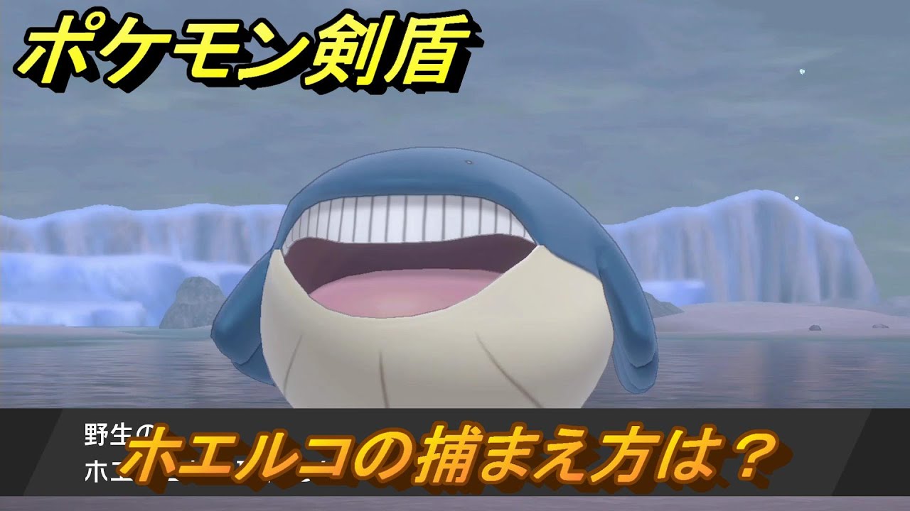 ポケモン剣盾　ホエルコの出現場所は？オススメの場所は？天気は？ポケモン図鑑コンプへの道！　最新版【ポケモンソード・シールド】