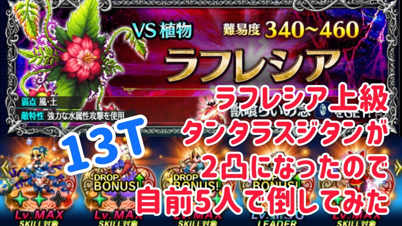 ラフレシア上級 タンタラスジタンが2凸になったので自前5人で倒してみた。グダグダ13T！#ffbe