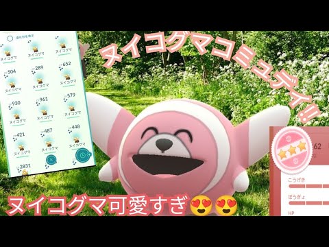 「ポケモンGO」ヌイコグマコミュデイ!!ヌイコグマ可愛すぎっ