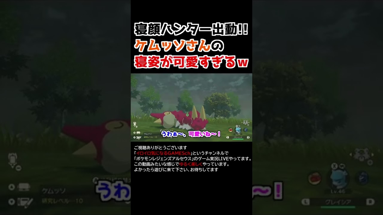 ケムッソさんの「寝姿」が可愛すぎるww【Pokémon LEGENDS アルセウス】【寝顔ハンター】