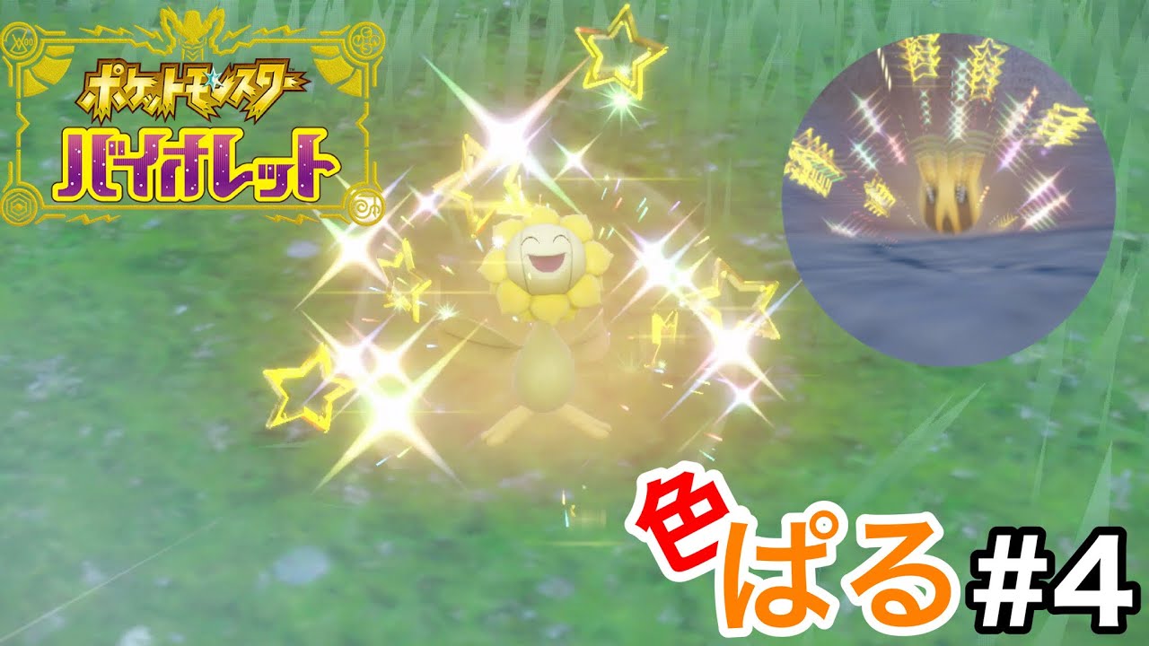 【ポケモンSV】色違いヒマナッツとキマワリ狙ったらショックな事起きた（ ;  ; ）