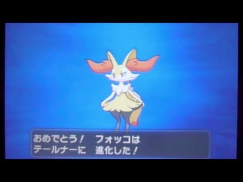 ポケットモンスターX・Y-8「4番道路＆フォッコの進化」