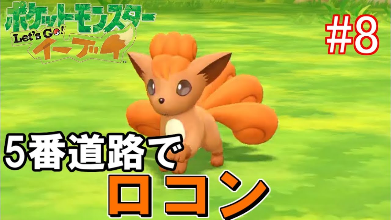 ＃8【新作】5番道路でロコン発見（珍しくないけどｗｗ）【実況】～ポケットモンスター Let's Go! イーブイ！～