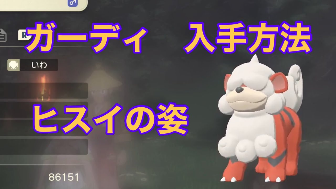 【Pokémon LEGENDS アルセウス】ガーディ入手方法　ヒスイの姿