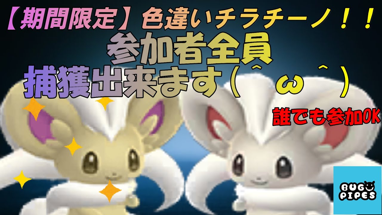 【期間限定】色違いチラチーノ欲しい人集まれー！！【ポケモン剣盾】