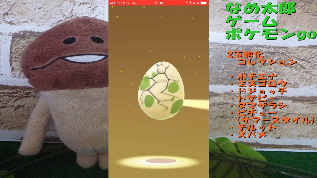 【ポケモンgo】２玉孵化コレクション、「ポチエナ」「ミズゴロウ」「ドジョッチ」「トゲピー」「タマザラシ」「ピチューサマースタイル」「チルット」「スバメ」
