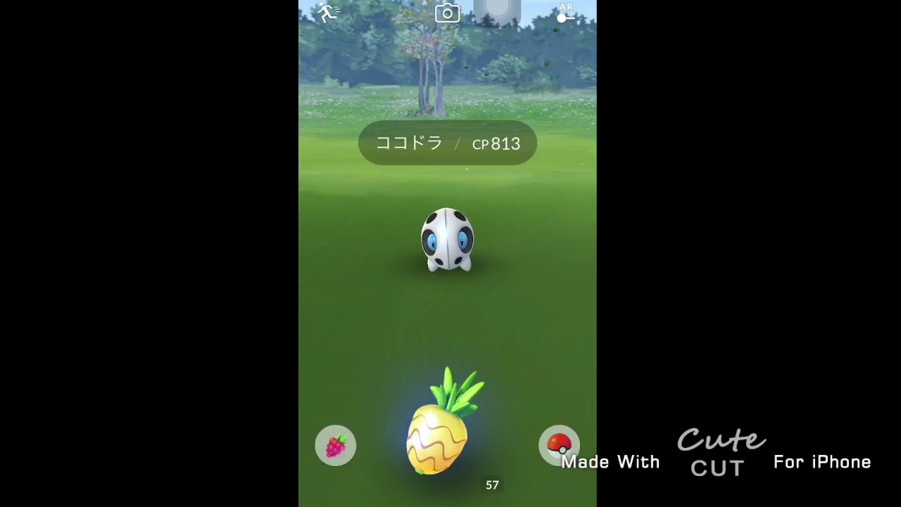 【ポケモンGO】新ポケモン！ボスゴドラの進化前の進化前、ココドラを野生で捕まえた！