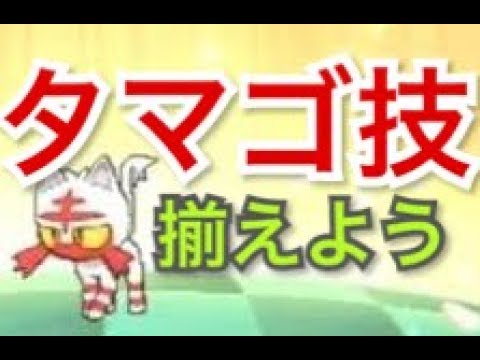 [ポケモンSM] ”にわか” 色ニャビーが可愛いのでスタンバる [初見歓迎]