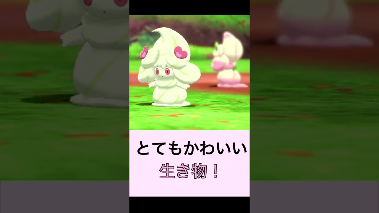 とてもかわいい生き物！【マホイップ】【ポケモン剣盾】#shorts