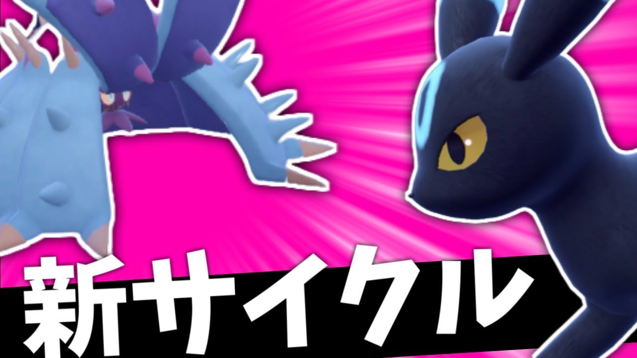 ブラッキー&ドヒドイデのねがいごと+さいせいりょくサイクル【ポケモンスカーレット・バイオレット/SV】