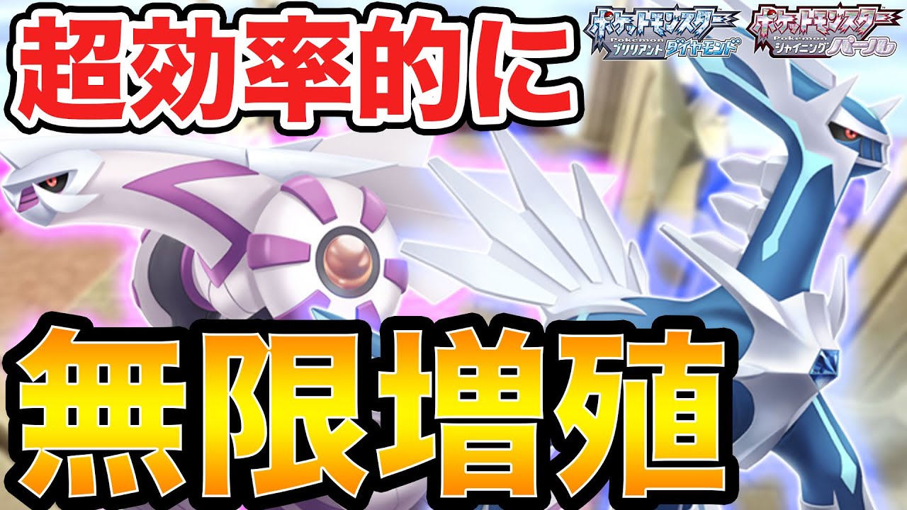 【ダイパリメイク】約5分で超効率的にディアルガ・パルキアを無限増殖する方法を教えます【ブリリアントダイヤモンド・シャイニングパール】
