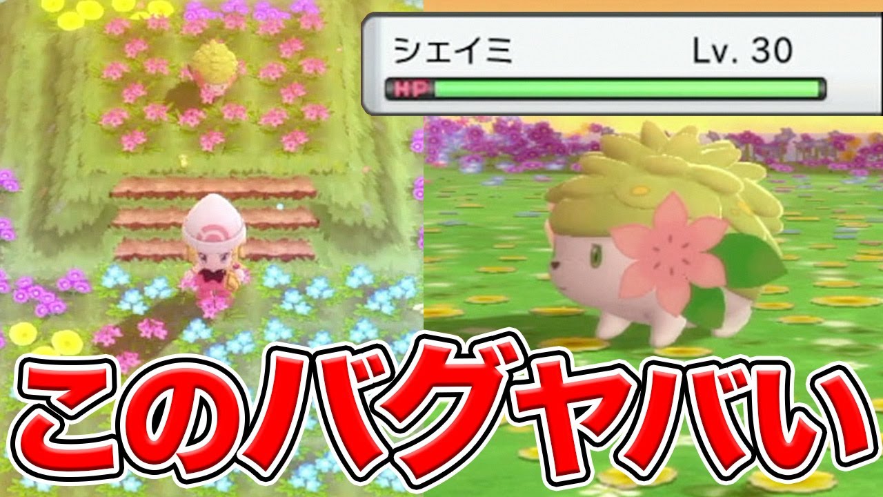 【バグ】なみのりで「シェイミ」を入手できる裏ワザがヤバい...ｗｗｗ【ポケモンBDSP/ダイパリメイク】