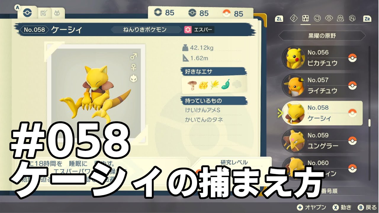 ケーシィを探している方に見てほしい動画