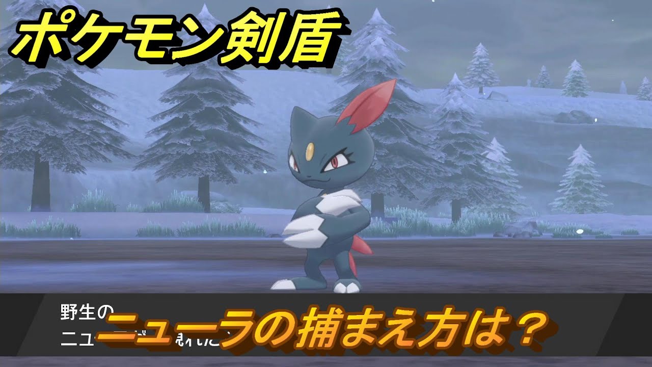 ポケモン剣盾　ニューラの出現場所は？オススメの場所は？天気は？ポケモン図鑑コンプへの道！　最新版【ポケモンソード・シールド】