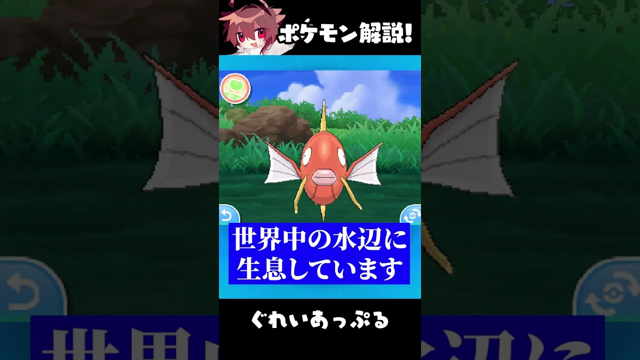 【ポケモン解説】最弱のコイキングが絶滅しない理由３選【ポケモンSV】【ポケットモンスター】【ポケモン】#shorts