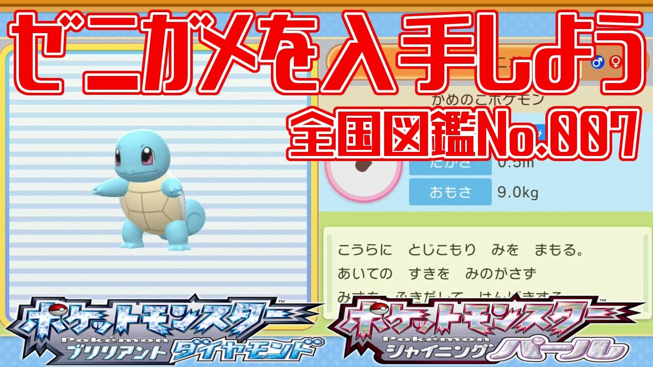 【ポケモンダイパリメイク】ゼニガメを入手しよう 全国図鑑No.007【ポケットモンスター ブリリアントダイヤモンド・シャイニングパール】Pocket Monsters
