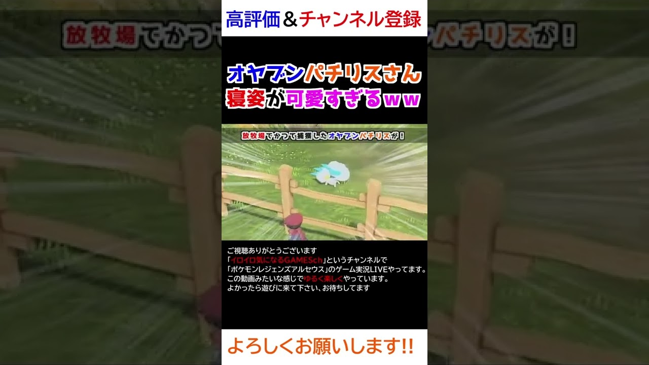 オヤブンパチリスさんの寝姿が可愛すぎるｗｗｗ【Pokémon LEGENDS アルセウス】