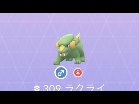 Pokémon GO 309 ラクライ