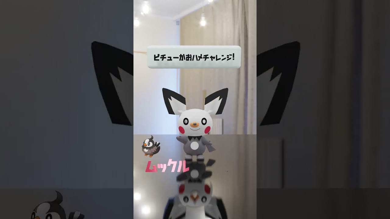 【ポケモン】3D顔はめチャレンジ！【ピチュー】