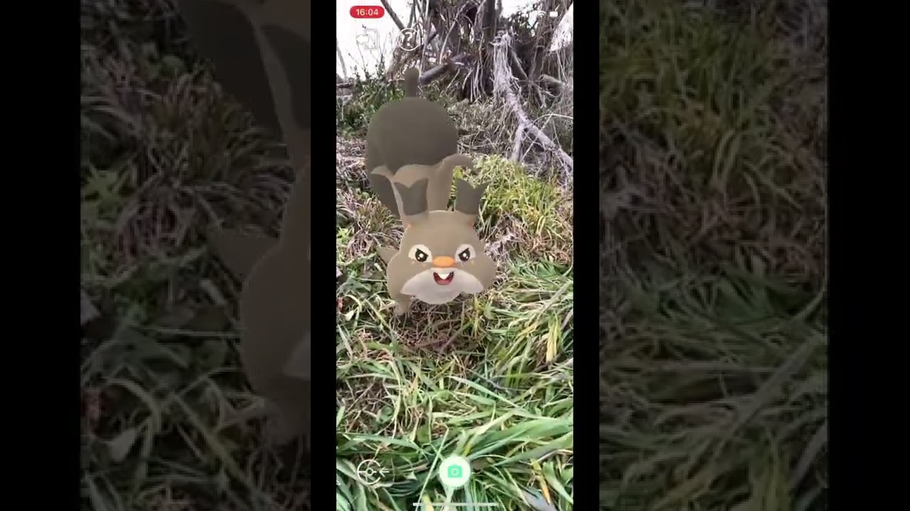 ポケモンGOのARでホシガリスみっけ！ #Shorts