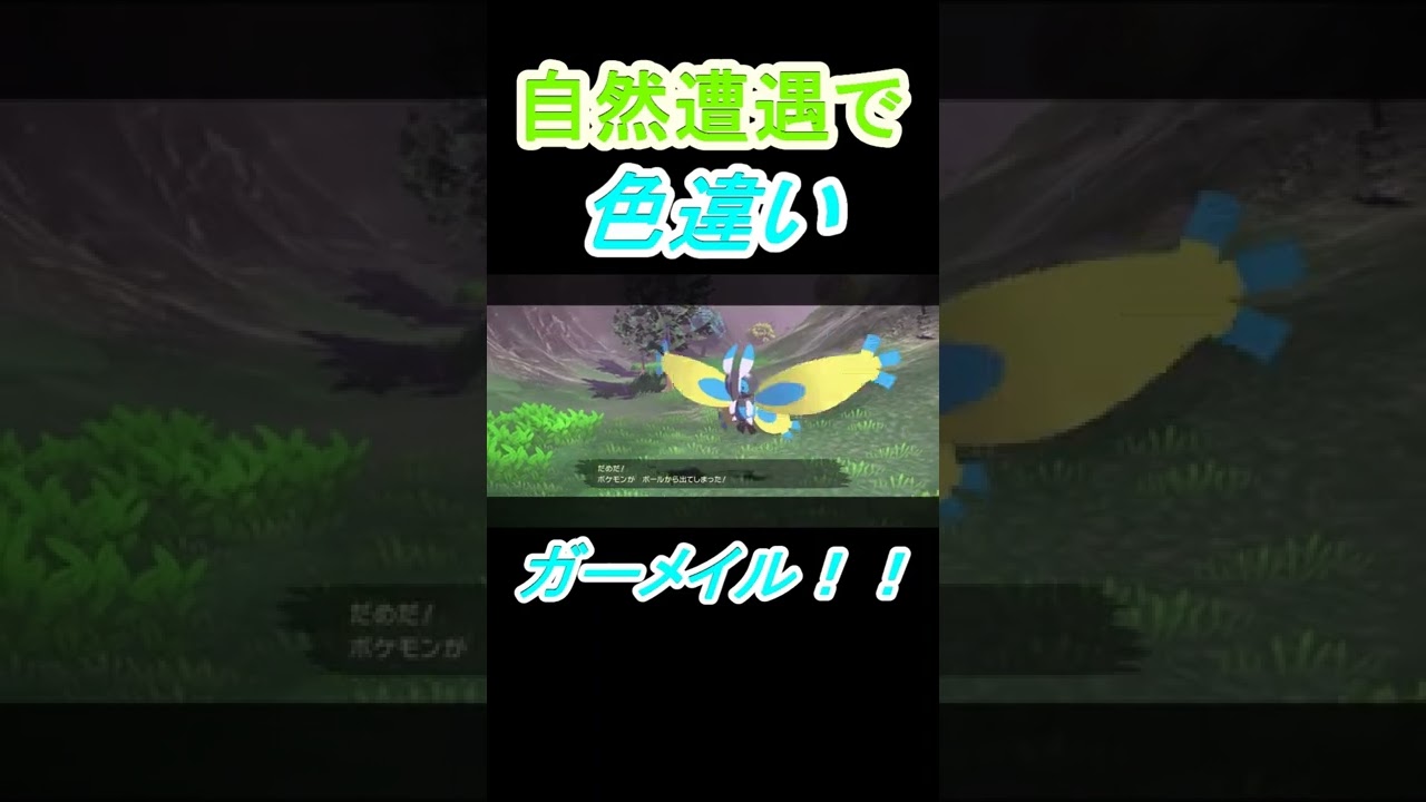 【自然遭遇】で色違いガーメイルを出していく者！世界一綺麗な蛾！　#Shorts【ポケモンレジェンズアルセウス】ヒスイ【Pokémon LEGENDSアルセウス】【Shiny Mothim】moth