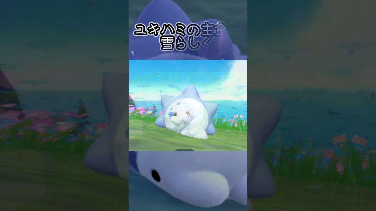 【疲れた人向け】ユキハミ6匹とピクニック【ポケモンSV】#Shorts