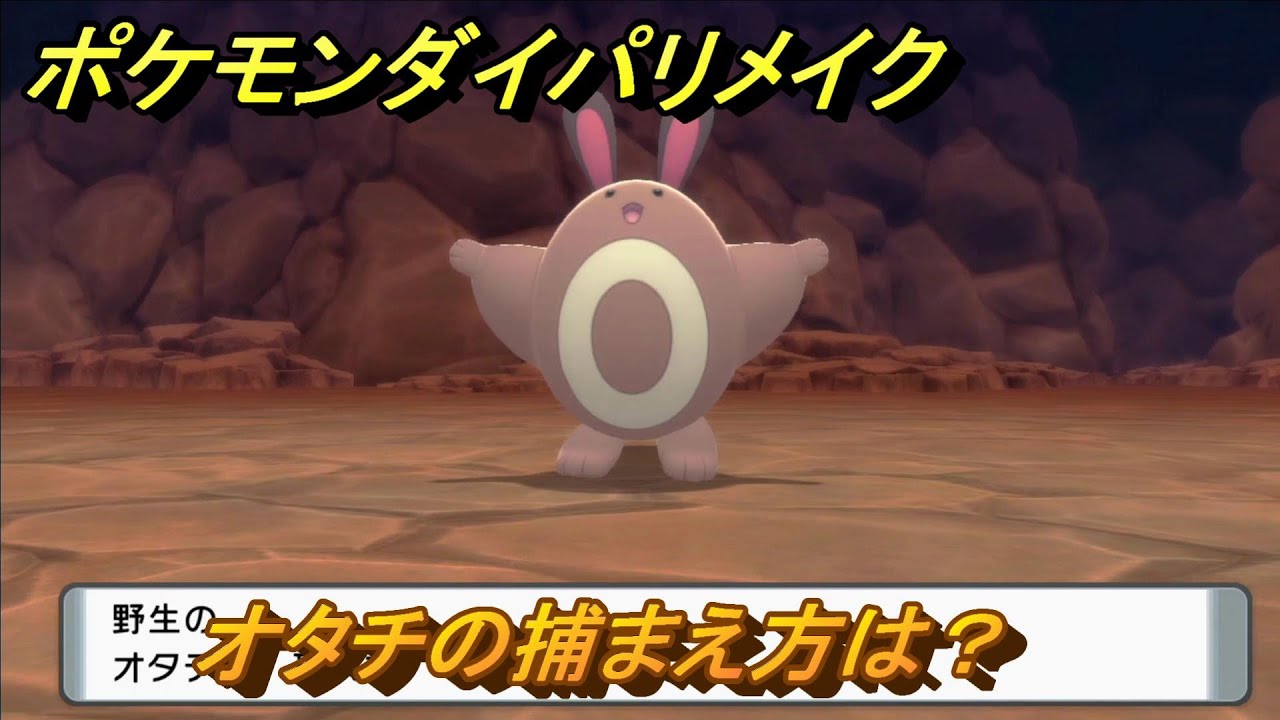 ポケモンダイパリメイク　オタチの捕まえ方は？出現場所は？　最新版【ブリリアントダイヤモンド・シャイニングパール】