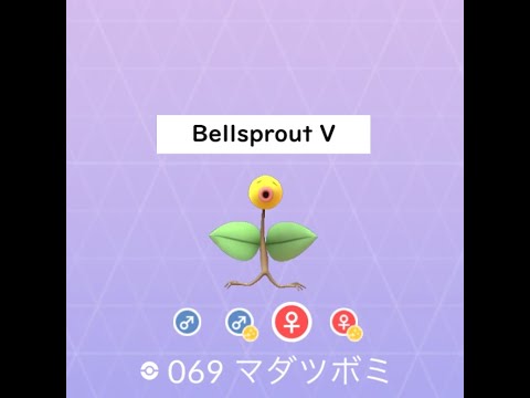 【ポケモンGO】色違い 出現50秒動画 ＃069 マダツボミ⑤ ☆shiny☆#Shorts