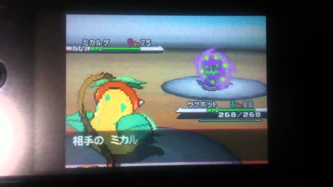 ポケモンバトル！ウツボットの挑戦  〜最後の挑戦〜