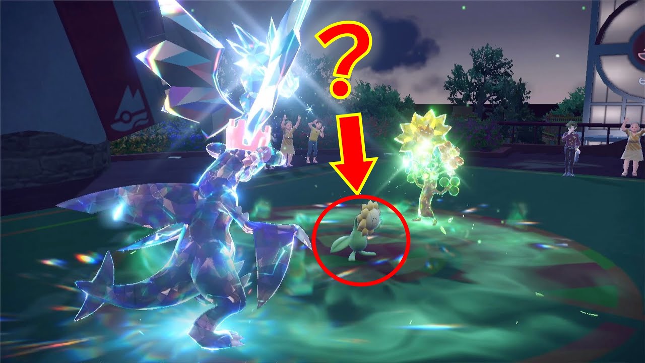 【ポケモンSV】キマワリさん・・・そこにいちゃ駄目だろ（小バグ）