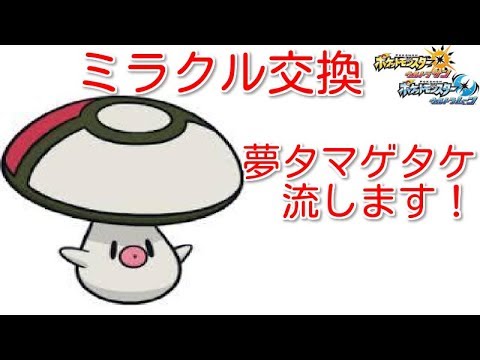 【ポケモンUSUM】ミラクル交換！夢タマゲタケ流します！