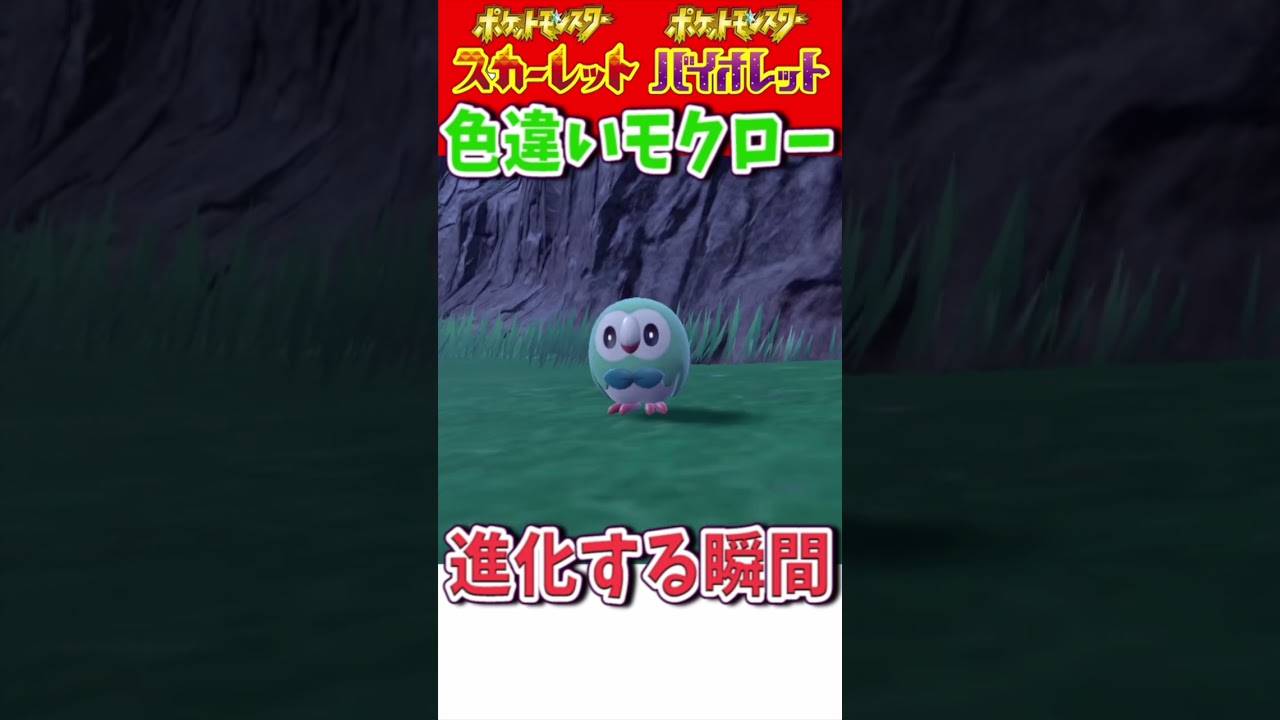 色違いモクローが進化する瞬間【ポケットモンスタースカーレット・バイオレット】