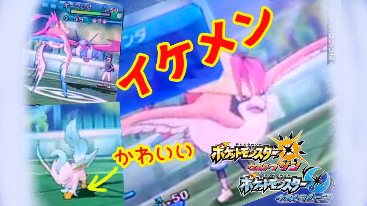 【メガピジョット】空の王者！変態型イケメンピジョット！「メガシンカの記憶其の六『飛翔』」【ポケモンUSUM】【ポケモン対戦】【ポケモン】#USUM#ポケモン#ポケモン実況#ポケモンUSUM