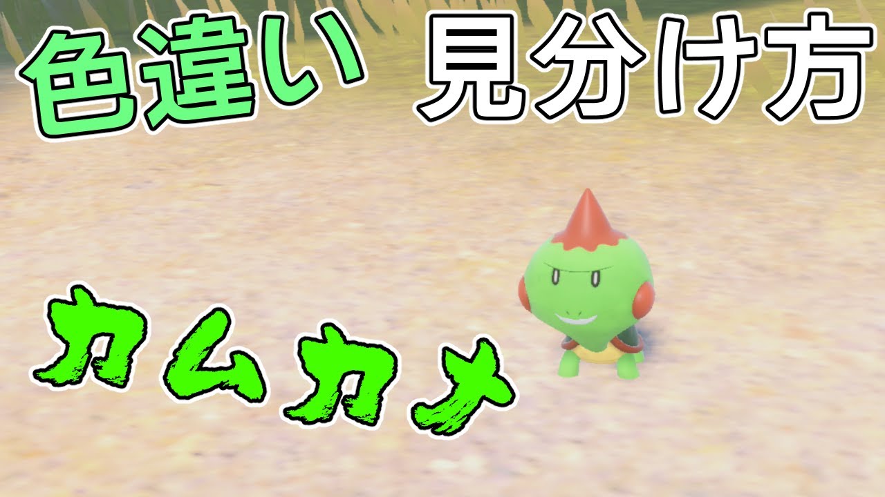 色違いカムカメの見分け方【ポケモンSV】