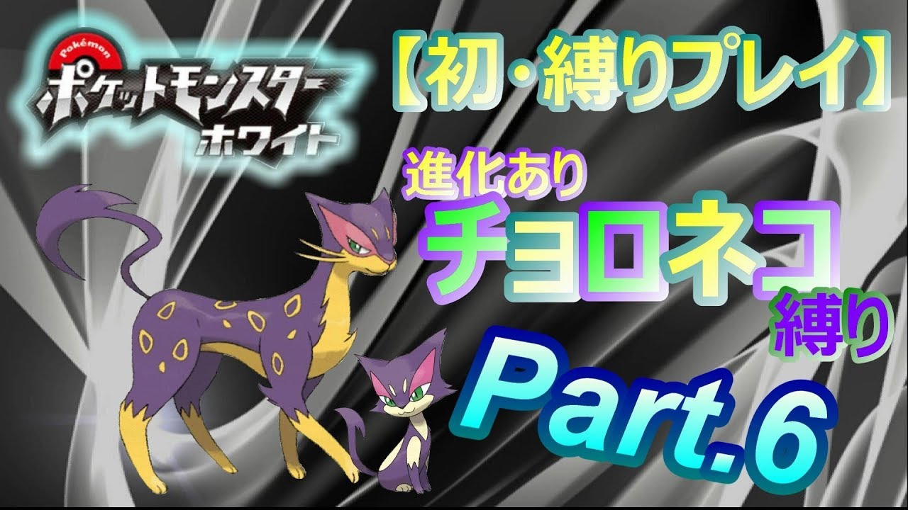 #6【初・縛りプレイ】レパルダス一匹でクリアを目指す【ポケットモンスターホワイト.pokemon.BW】実況プレイ