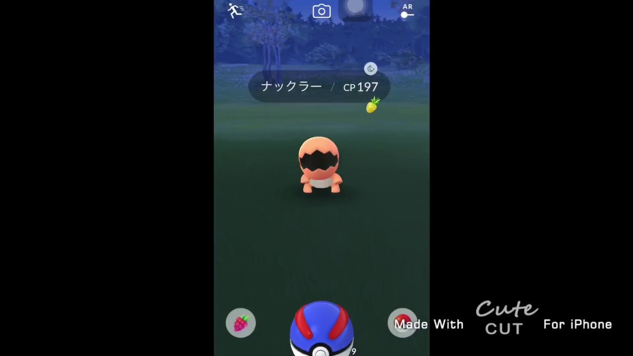 【ポケモンGO】新レアポケモン！ナックラー野生で捕まえてみた！