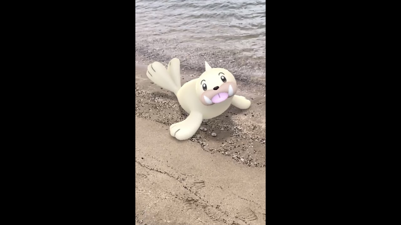 パウワウ｜Seel｜ShinyPokémon ｜地始凍（ちはじめてこおる）｜七十二候【ポケモンGO】｜AR動画｜PoKeMoN GO AR｜#Shorts