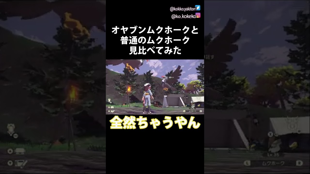 想像の5倍でかいムクホーク【ポケモンレジェンズ アルセウス / Pokémon LEGENDS アルセウス】#Shorts
