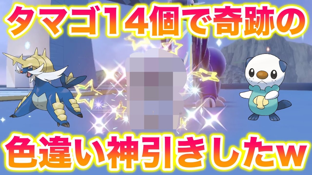 【神引き】タマゴ14個目で色違いダイケンキ(ミジュマル)を奇跡的に引き当てたんだがww【ポケモンSV/スカバイ】
