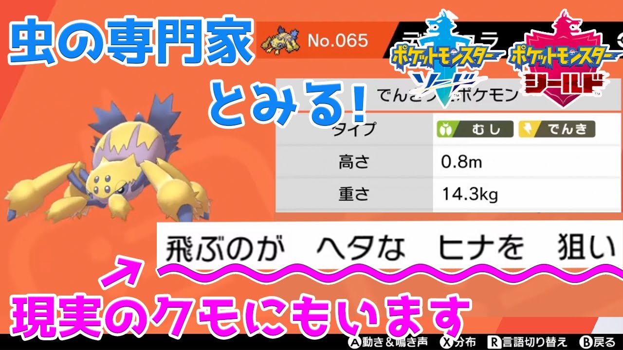 【虫ゲームさんぽ#3】虫の専門家とみる『ポケットモンスターソード・シールド』の世界