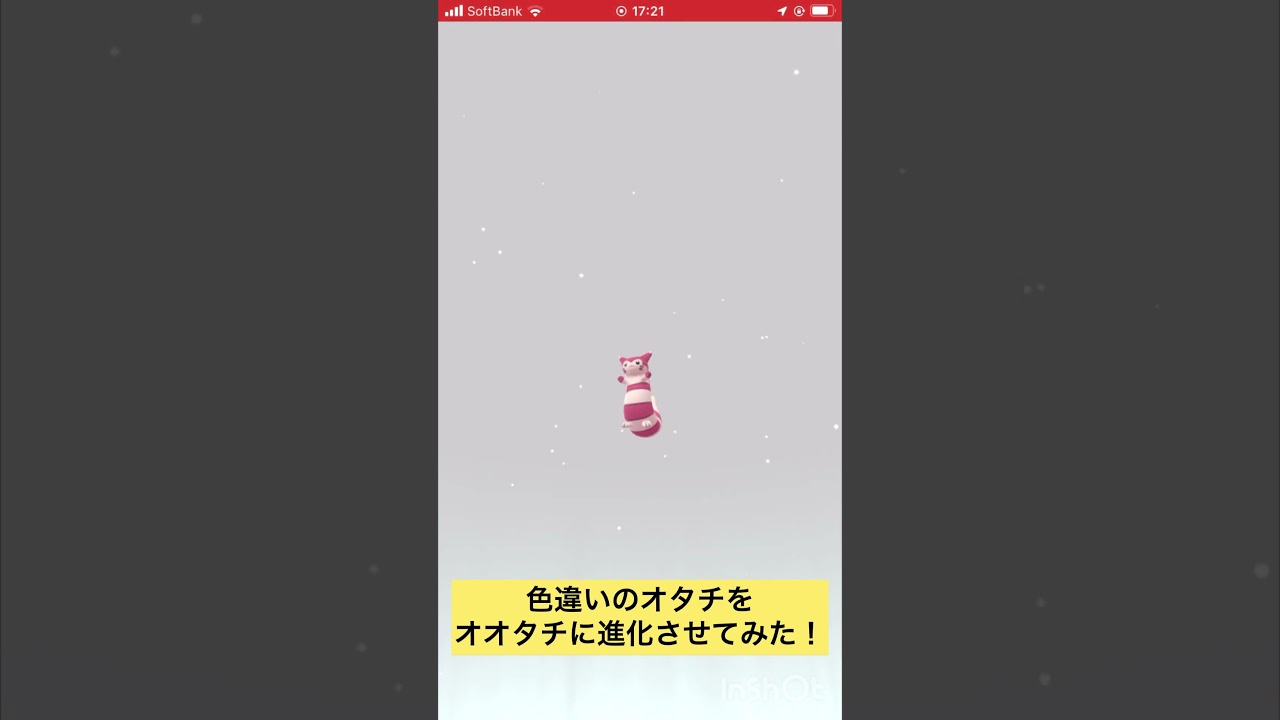 色違いのオタチをオオタチに進化させてみた！ #ポケモンgo #pokemongo #色違い #shorts