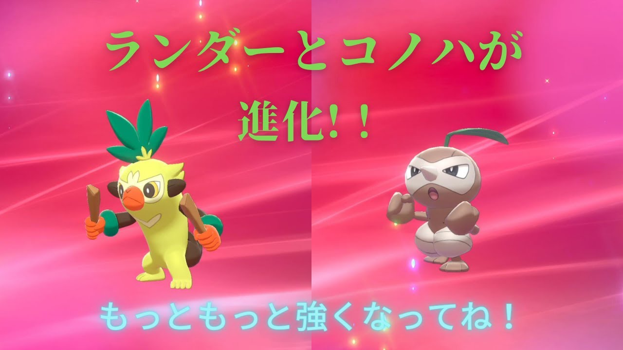 ＃3 サルノリとタネボーが進化！！（草タイプで冒険へ）