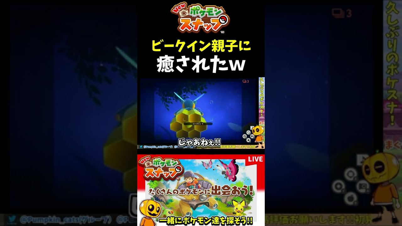 【ポケモン】久しぶりのポケスナでビークイン親子が可愛くて癒されたｗ【Newポケモンスナップ】【ポケスナ】【ゲーム配信】【配信切り抜き】【かわいい】#shorts