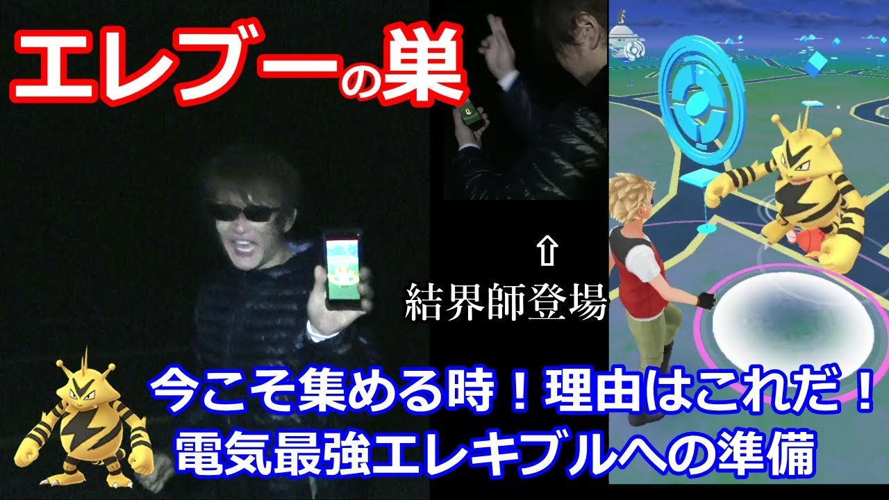 でんきタイプ最強！収集＆攻略見解→エレキブルの可能性に賭けてアメを集めます【ポケモンGO】